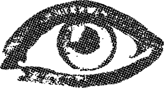 Ruídos Pretos11.png