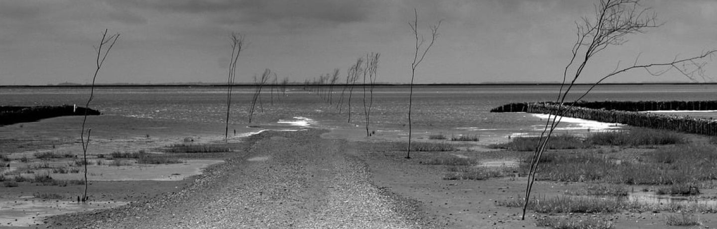 Commons CC0 1.0 Universal Public Domain Dedication license https://web.archive.org/web/20161229043156